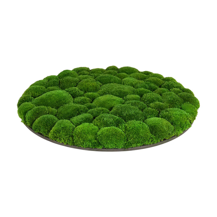 Kugelmoosbild in Wiesengrün 60 cm Seite
