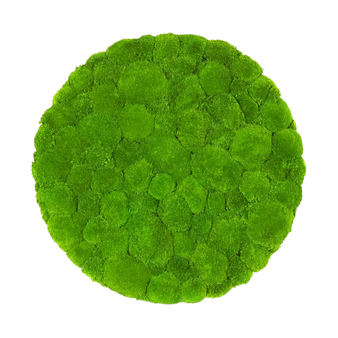 Kugelmoosbild in Apfelgrün 70 cm