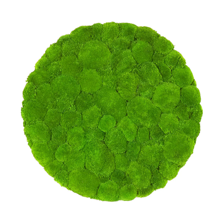 Kugelmoosbild in Apfelgrün 70 cm