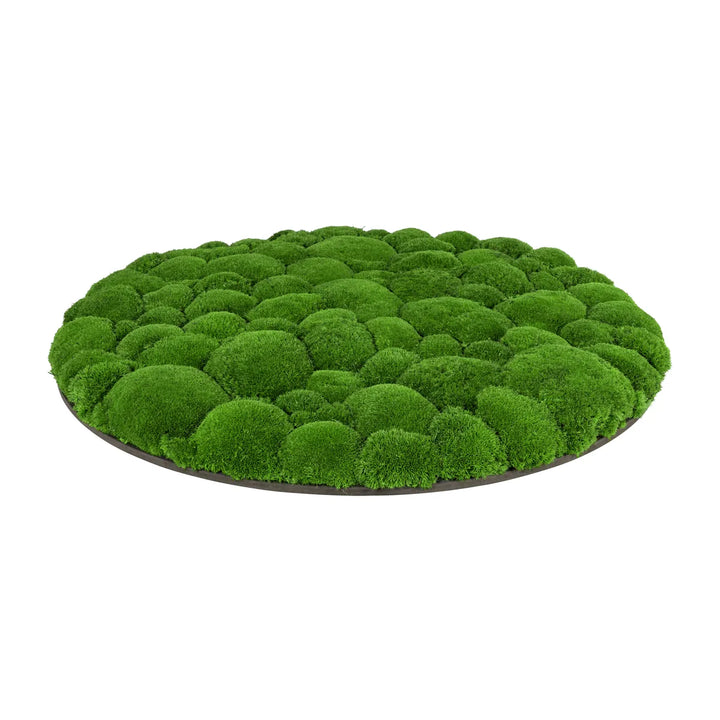 Kugelmoosbild in Wiesengrün 70 cm Seite 
