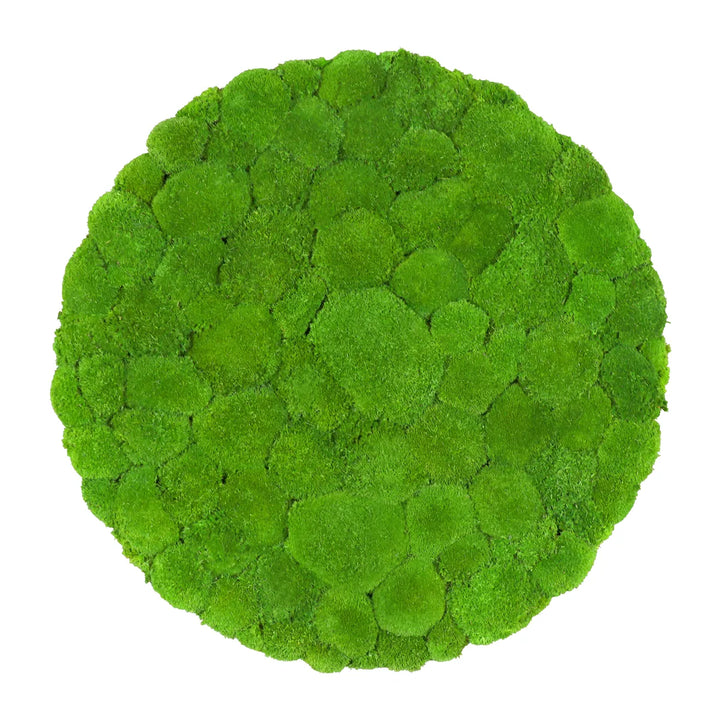 Kugelmoosbild in Apfelgrün 80 cm