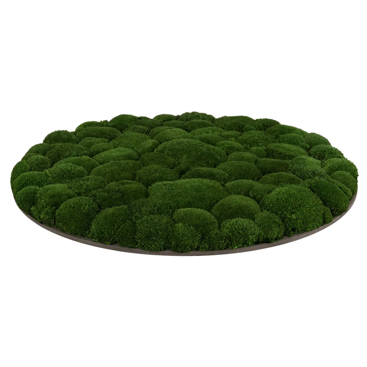 Kugelmoosbild in Waldgrün 80 cm Seite 