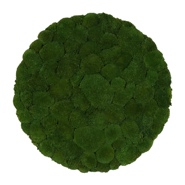 Kugelmoosbild in Waldgrün 80 cm