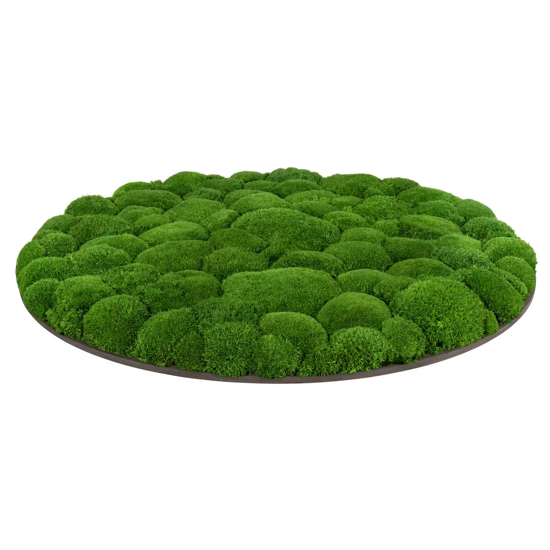 Kugelmoosbild in Wiesengrün 80 cm Seite 