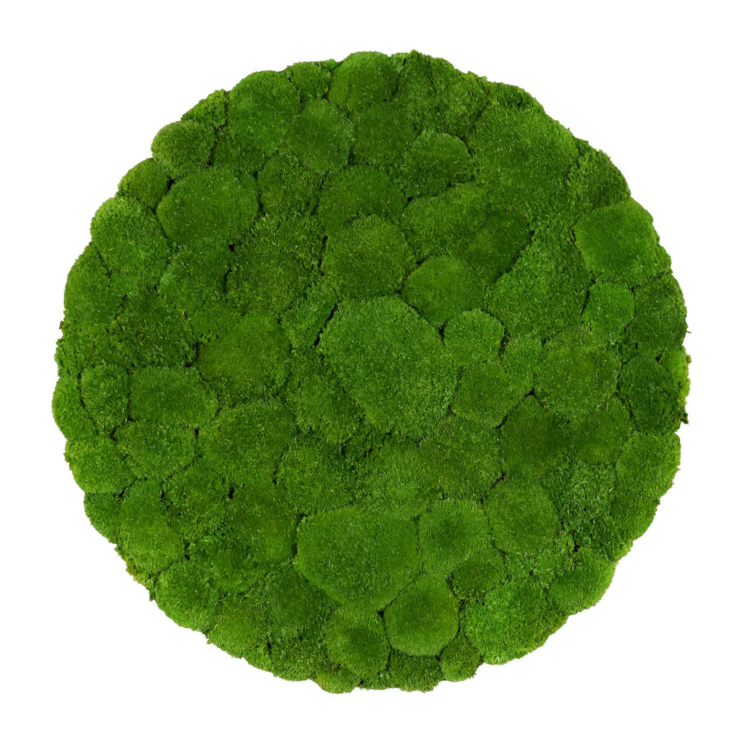 Kugelmoosbild in Wiesengrün 80 cm