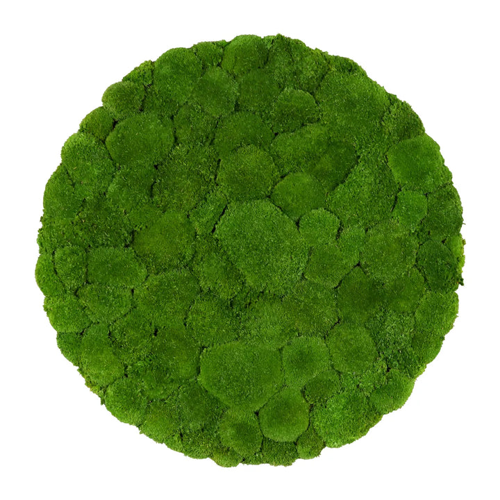 Kugelmoosbild in Wiesengrün 80 cm