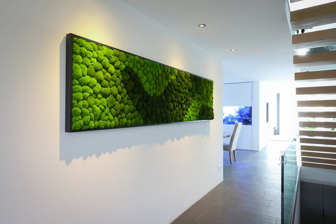 Kugelmoosbild  mit Muster und Rahmen in Gang