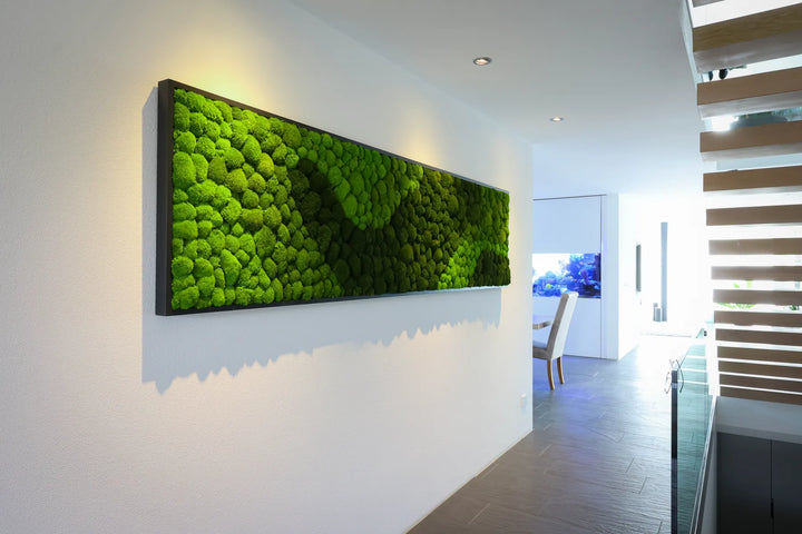 Kugelmoosbild  mit Muster und Rahmen in Gang