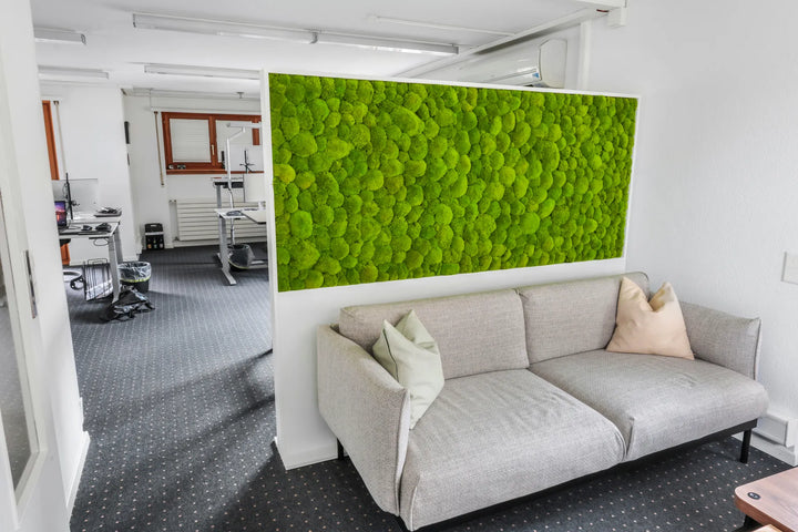 kugelmoosbild-und-raumteiler-büro-12-rs.webp