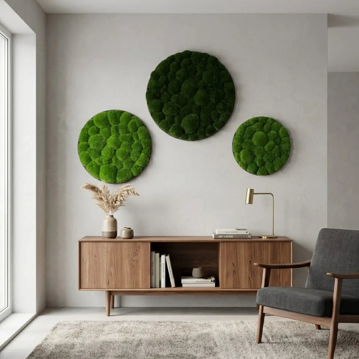 Kugelmoosbilder rund in Wohnzimmer