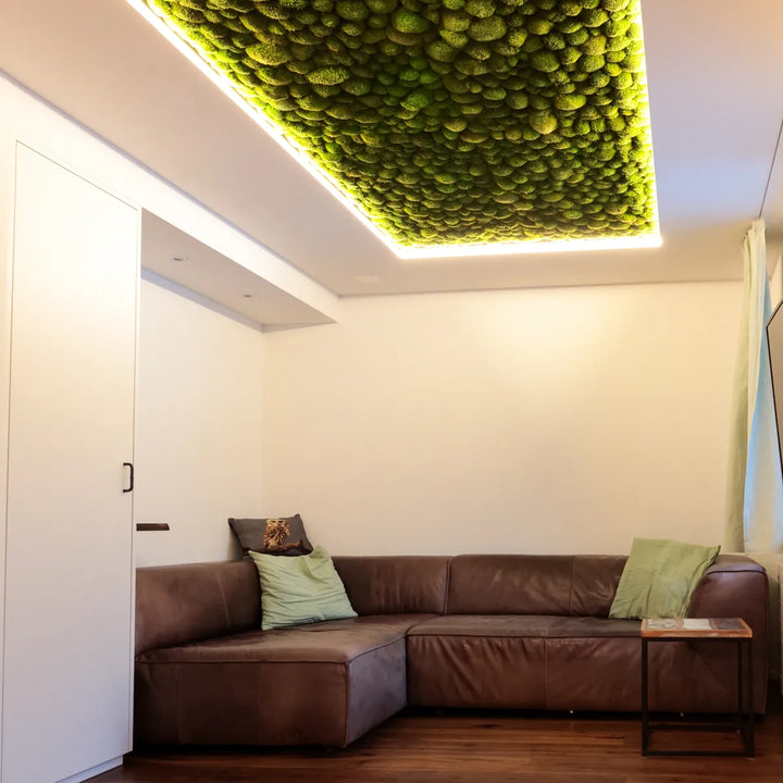 Kugelmoosdecke mit LED Beleuchtung in Wohnzimmer