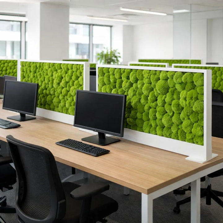 Moos-Tischtrenner in Coworkingspace