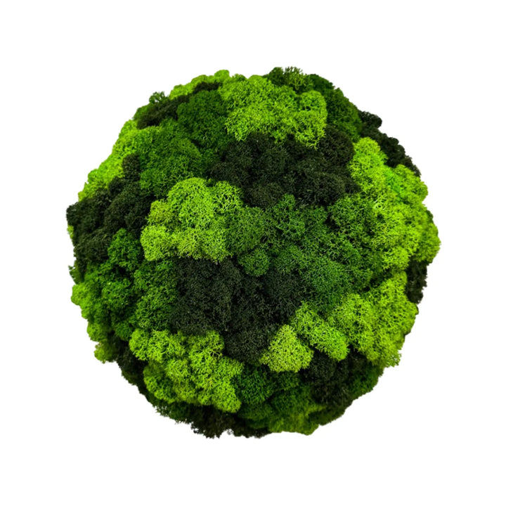 Moosball Islandmoos Dreifarbig