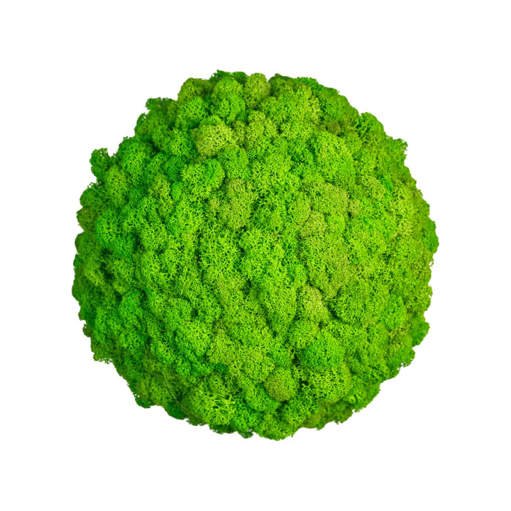Moosball Islandmoos Apfelgrün