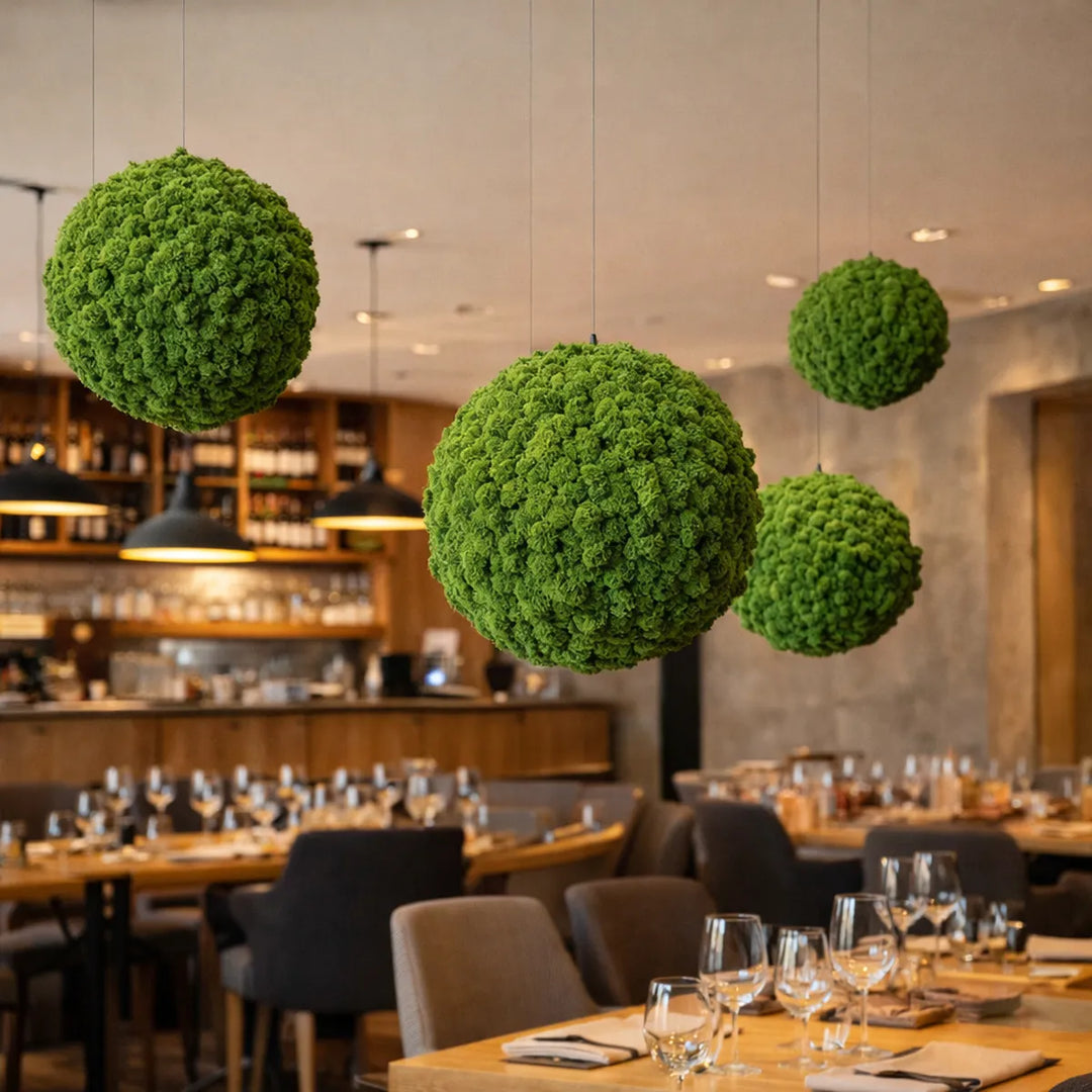 Islandmoosball Wiesengrün in Restaurant