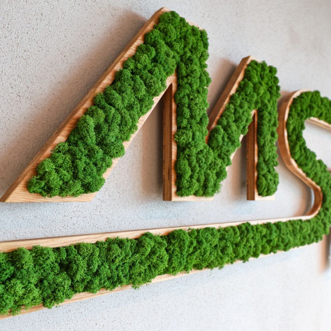 Mooslogo mit Islandmoos und Eichenholz