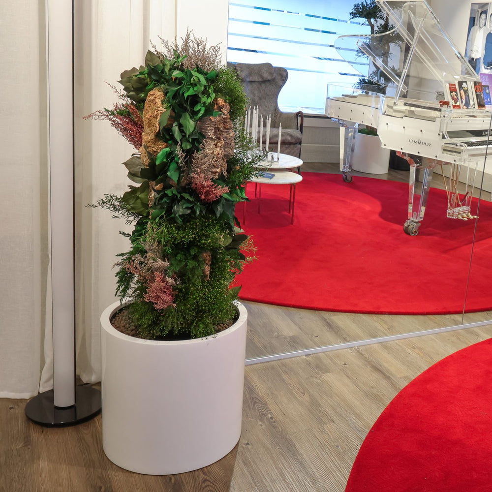 Naturstamm Wald in Showroom Möbelgeschäft