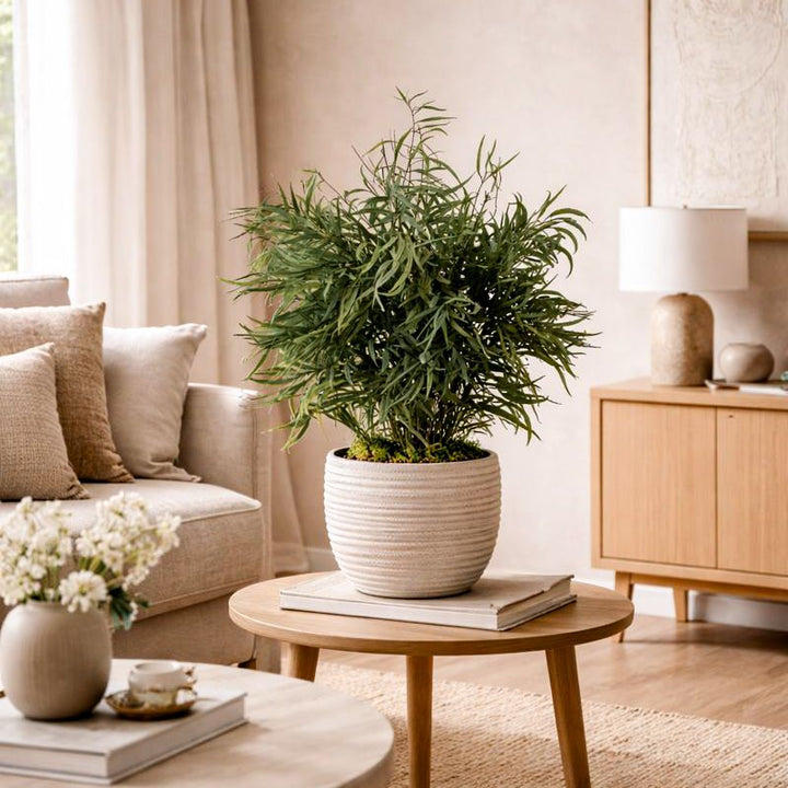 Nicoli in Wohnzimmer