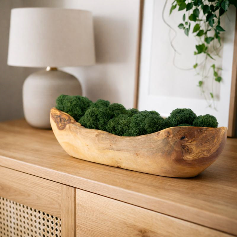 Holzschale mit Islandmoos Gross in Eingangsbereich