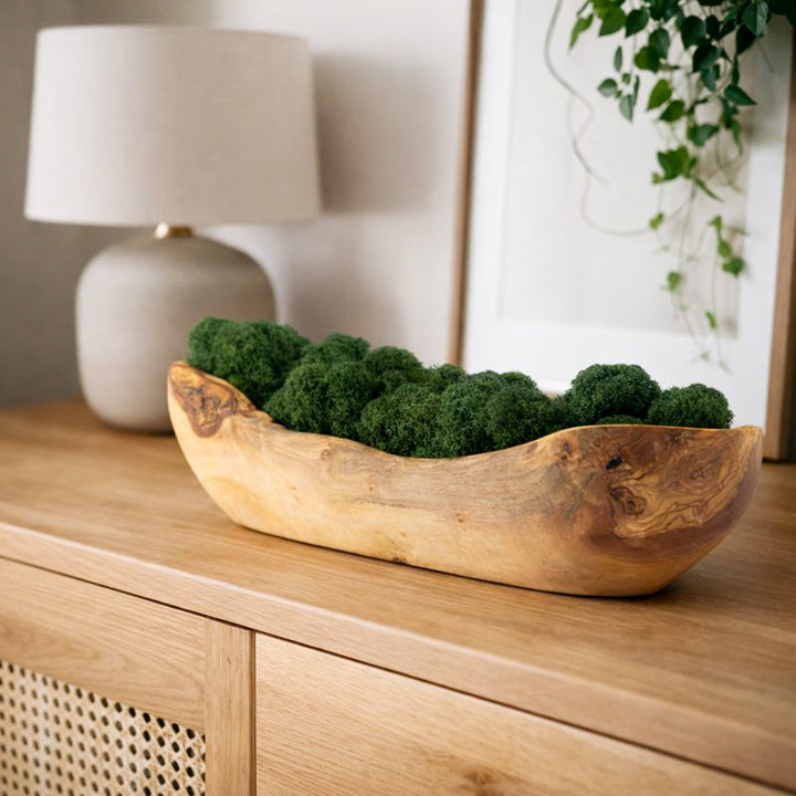 Holzschale mit Islandmoos Gross in Eingangsbereich