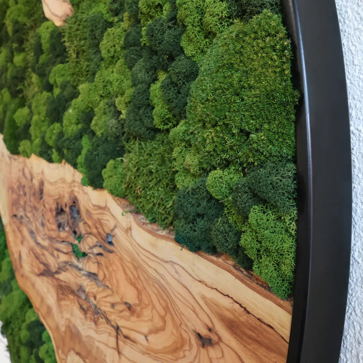 Details Olivenholzbild