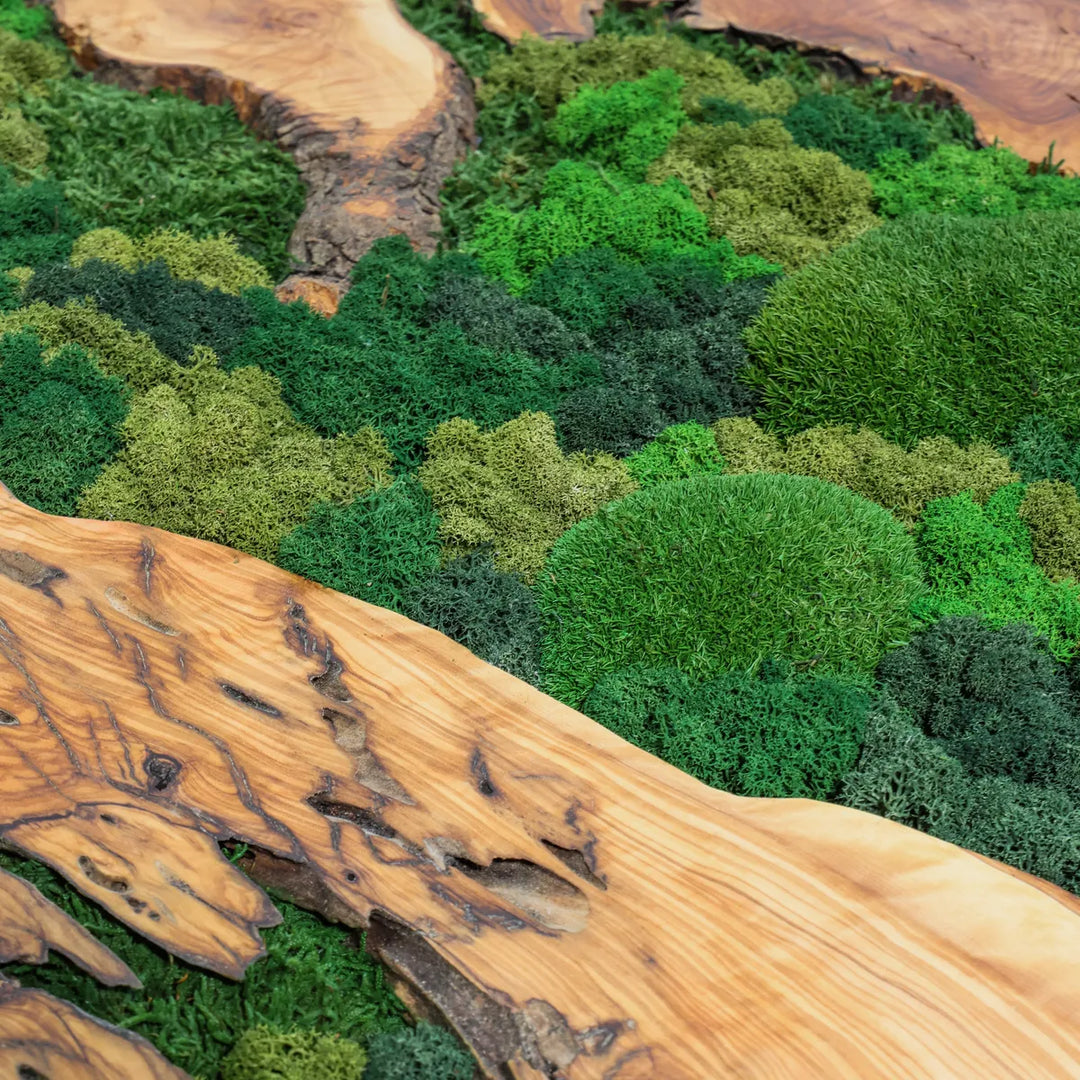 Detailbild Moosbild mit Olivenholz