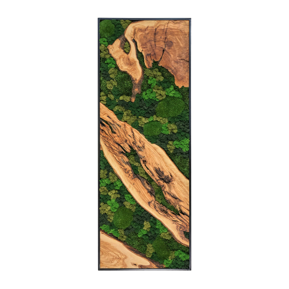 Moss Picture with Olive Wood