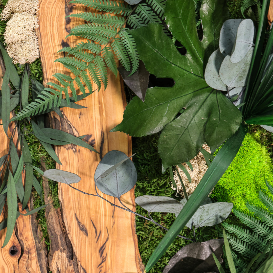 Detailbild Moosbild mit Olivenholz Dschungel Version