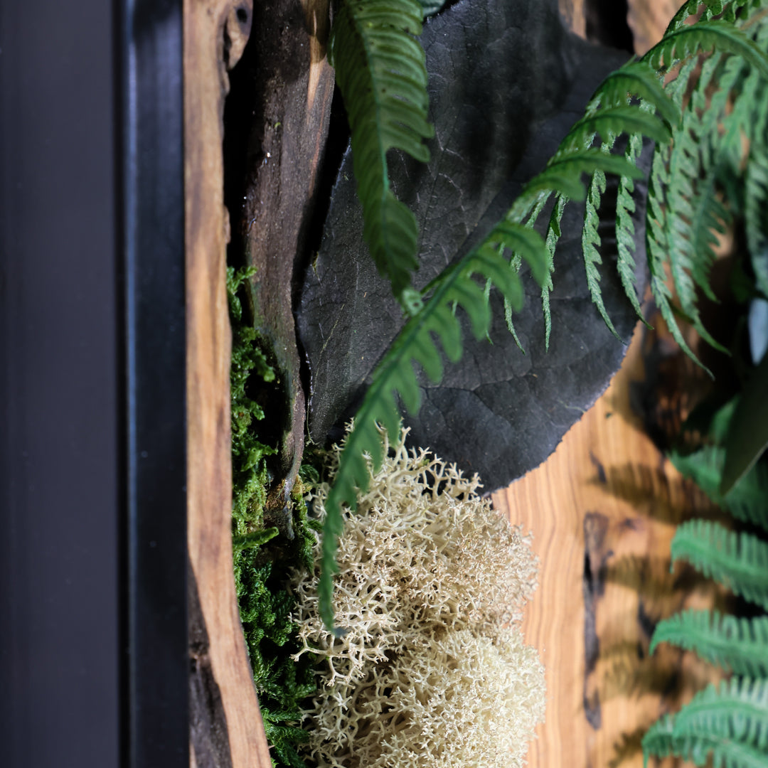 Detailbild Moosbild mit Olivenholz Dschungel