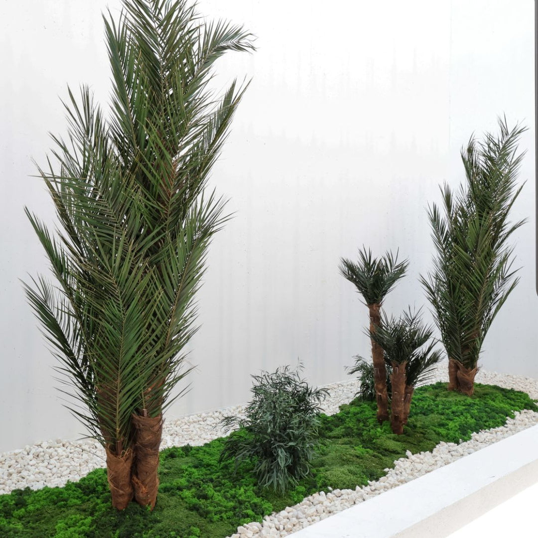 Phoenix Palme kräftig in Pflanzenlandschaft Treppenhaus