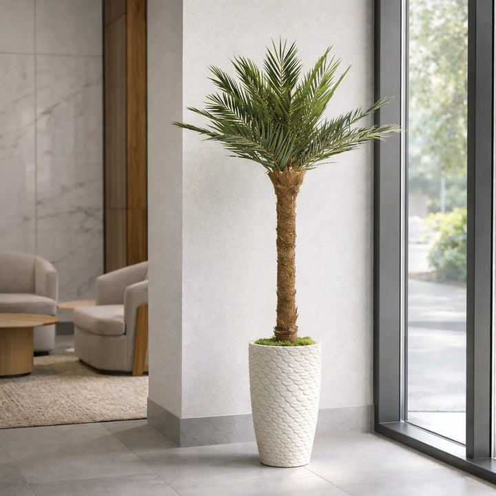 Phoenix Palme schlank 180 cm in Lobby