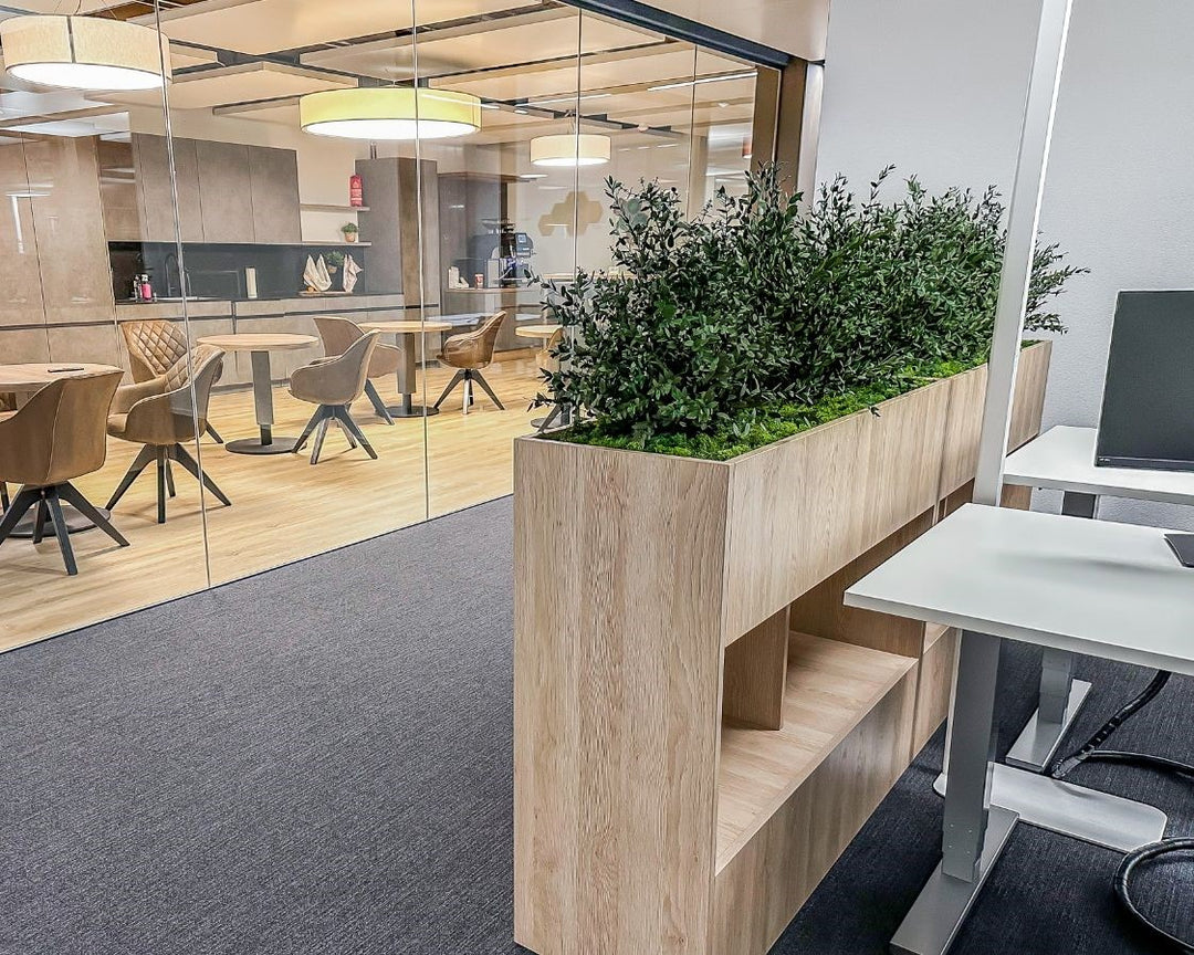 Raumteiler mit Pflanzen in modernem Büro