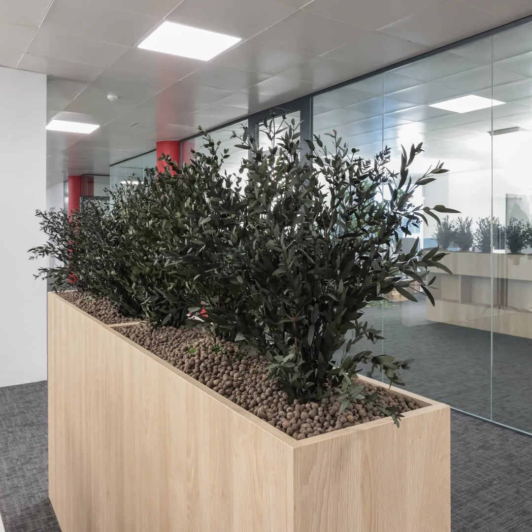 Raumteiler mit Parvifolia in Grossraumbüro