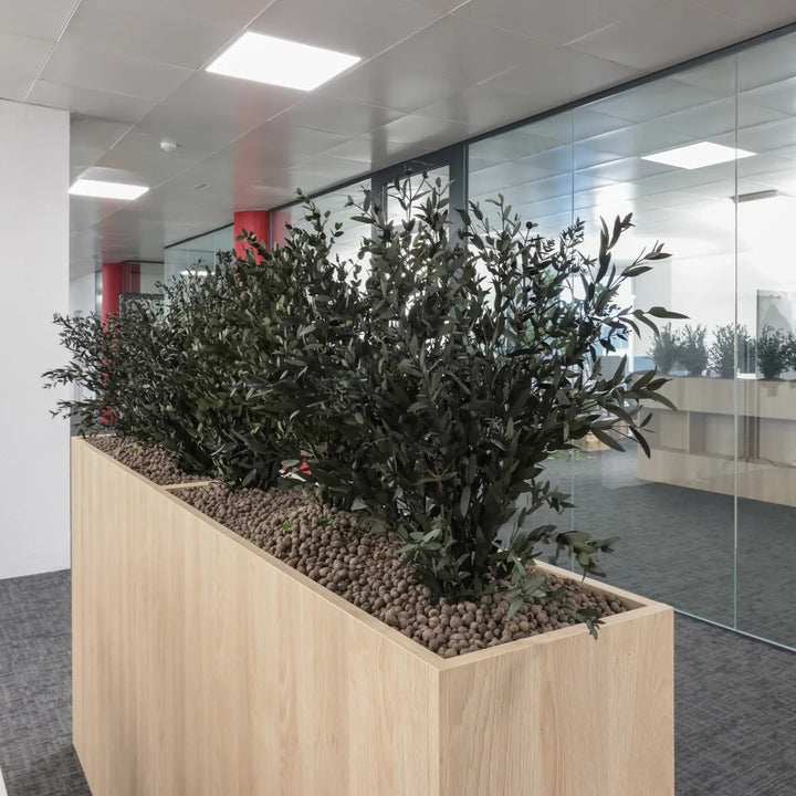 Raumteiler mit Parvifolia in Grossraumbüro