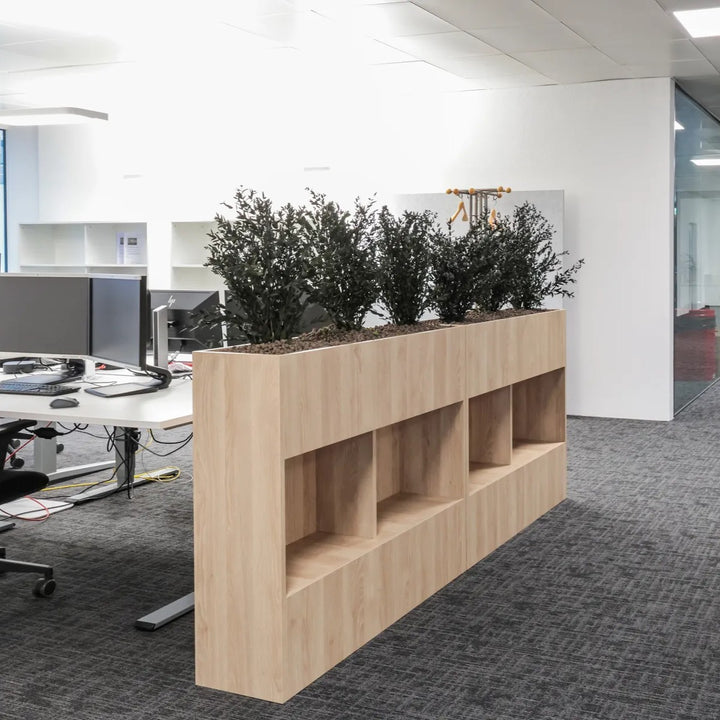 Raumteiler mit Parvifolia Bepflanzung in Büro 