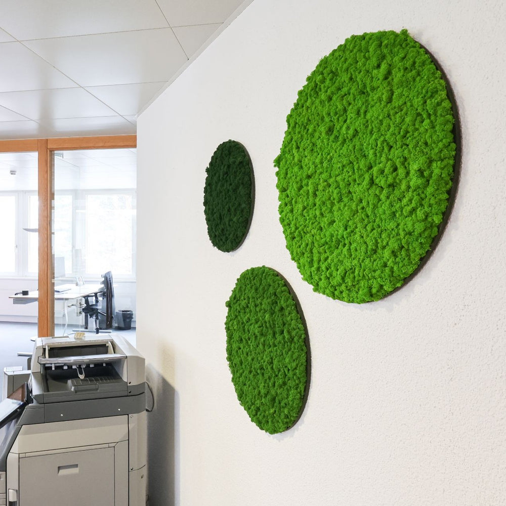 Runde Islandmoosbilder in Büro