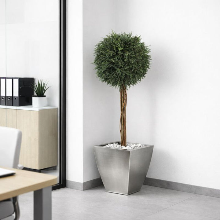 Thuja 1-Kugel 100 cm in Büroräumlichkeit