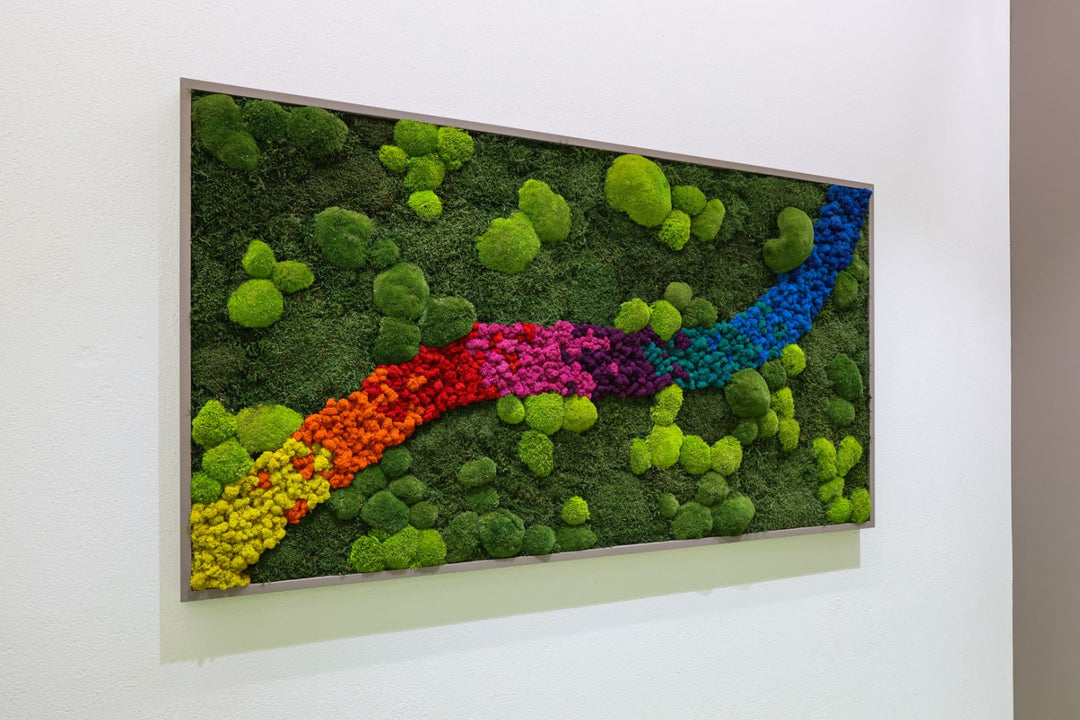 Wald-Kugelmoosbild mit farbigem Islandmoosstreifen in Empfangsbereich