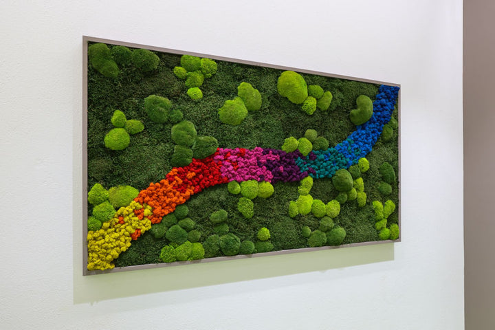 Wald-Kugelmoosbild mit farbigem Islandmoosstreifen in Empfangsbereich