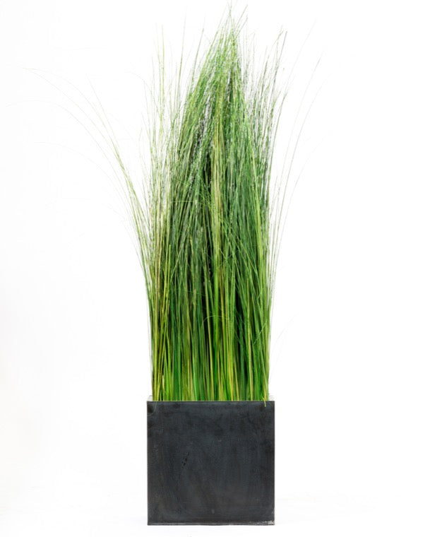 Gras Raumteiler stabilisiert