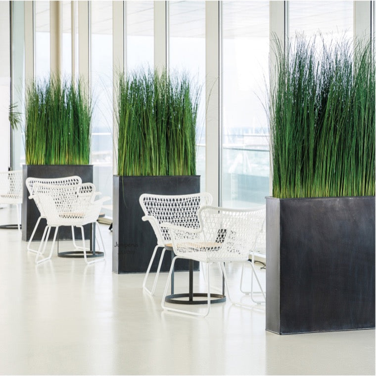 Gras Raumteiler stabilisiert
