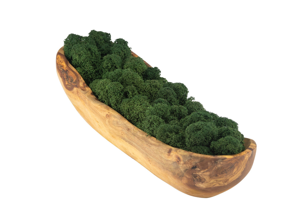 Schale Olivenholz Moos