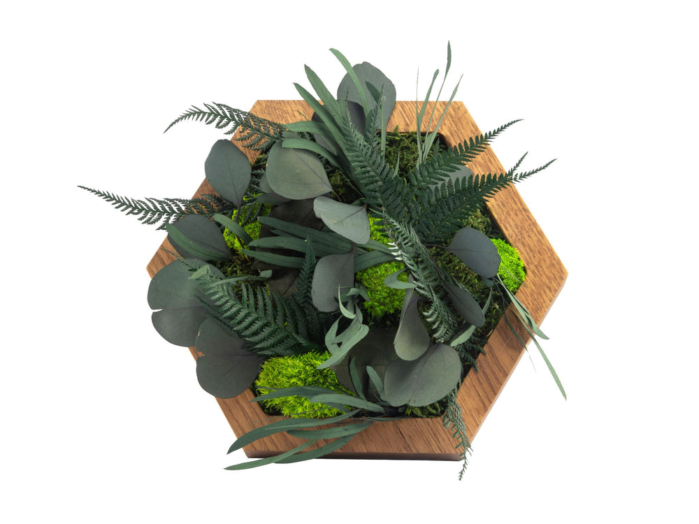 Hexagon Wandpaneel Dschungel