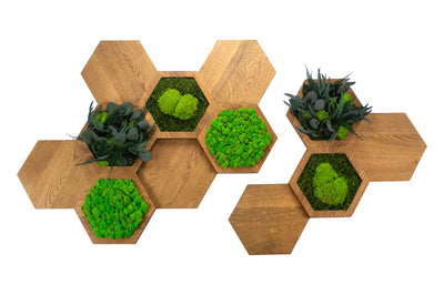 Moos Hexagon Wandbild